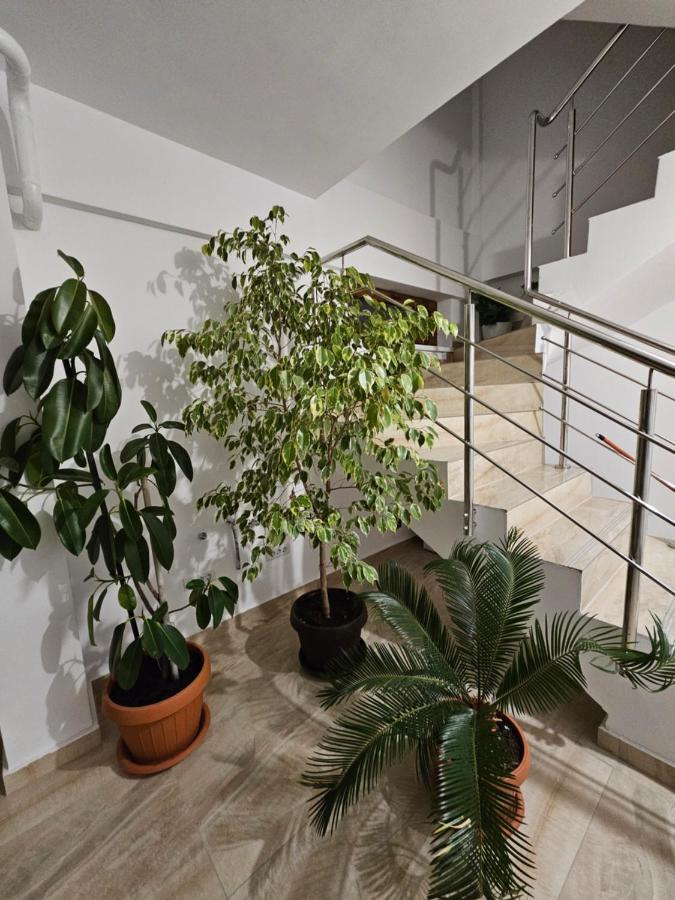 Didi Apartament Craiova Exterior foto